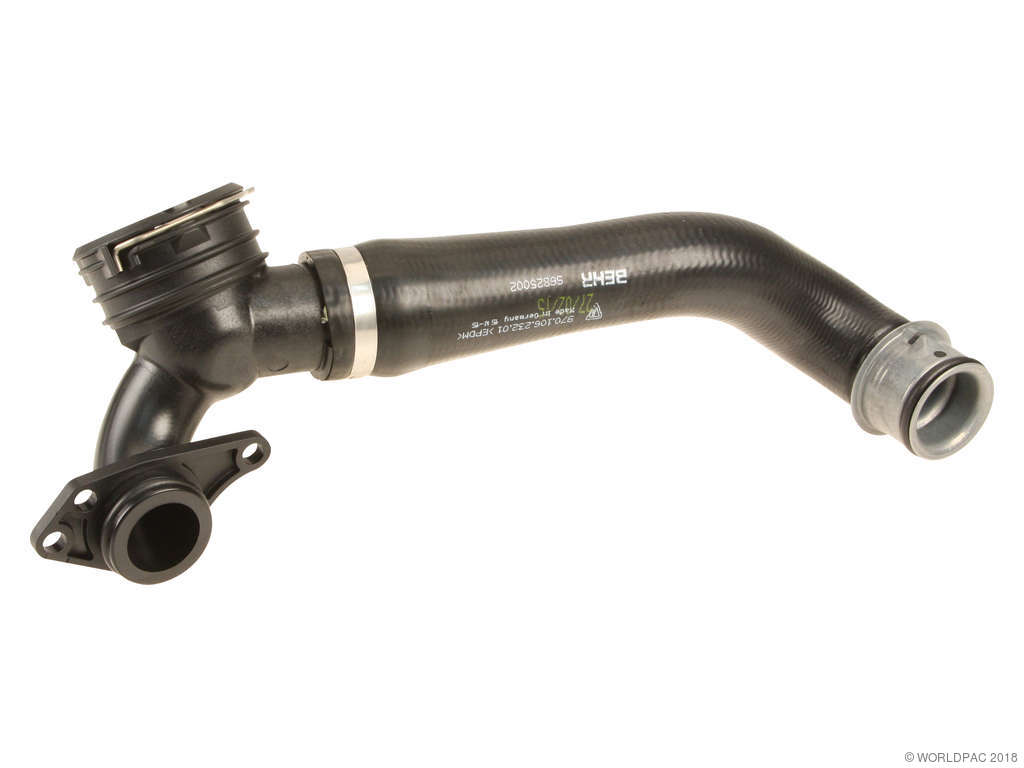2010-2016 Porsche Panamera Radiator Coolant Hose - Lower - Radiator To Engine (Genuine)