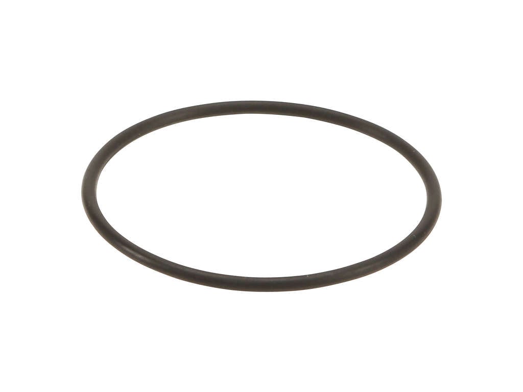 1997-2001 Ford Explorer Engine Coolant Thermostat Seal (Victor Reinz)