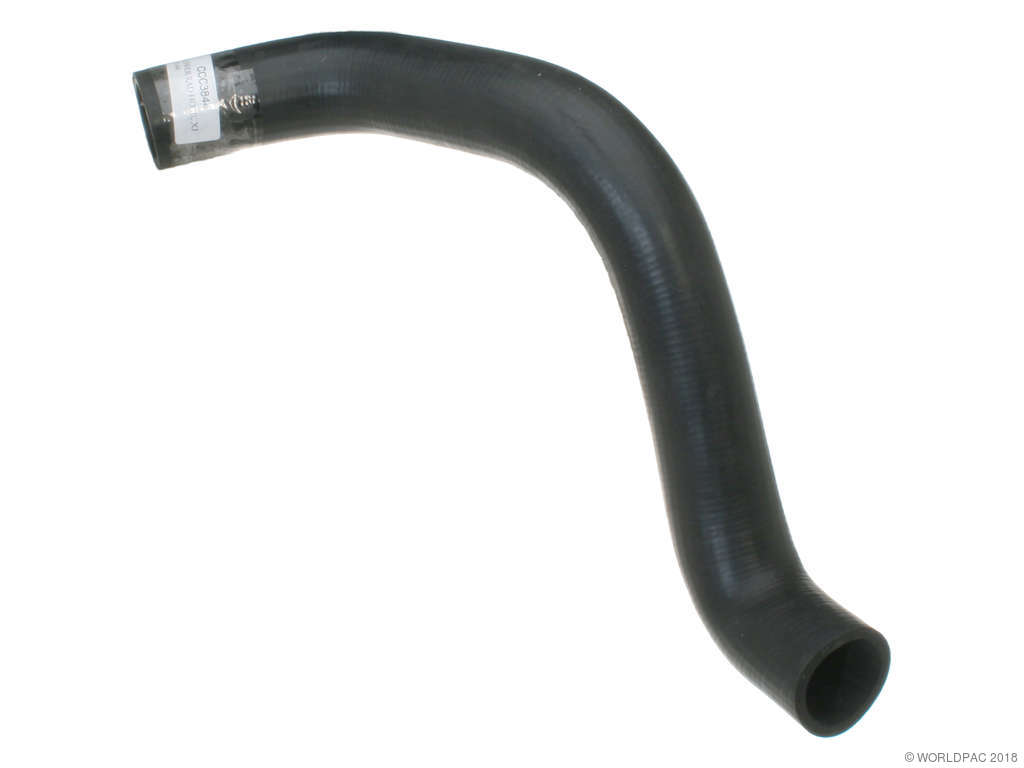 1995-1997 Jaguar XJR Radiator Coolant Hose - Lower (APA/URO Parts)