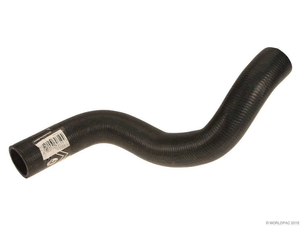 2000-2005 Buick LeSabre Radiator Coolant Hose - Lower (Gates)
