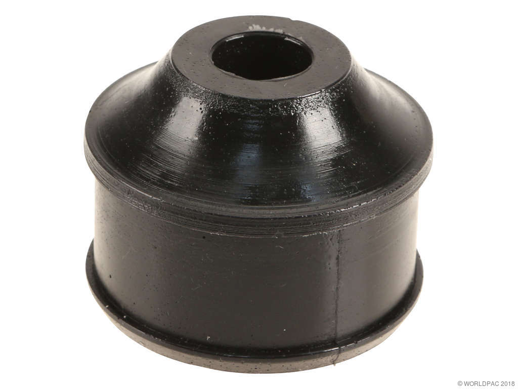 2003-2007 Nissan Murano Suspension Control Arm Bushing - Front Lower Rearward (AST)