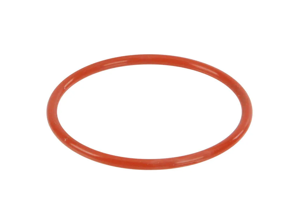 2002-2006 Nissan Sentra Fuel Injection Idle Air Control Valve Gasket (Genuine)