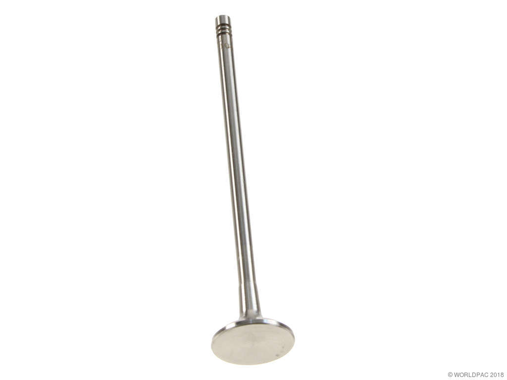 2002-2005 Volkswagen Golf Engine Exhaust Valve (TRW)