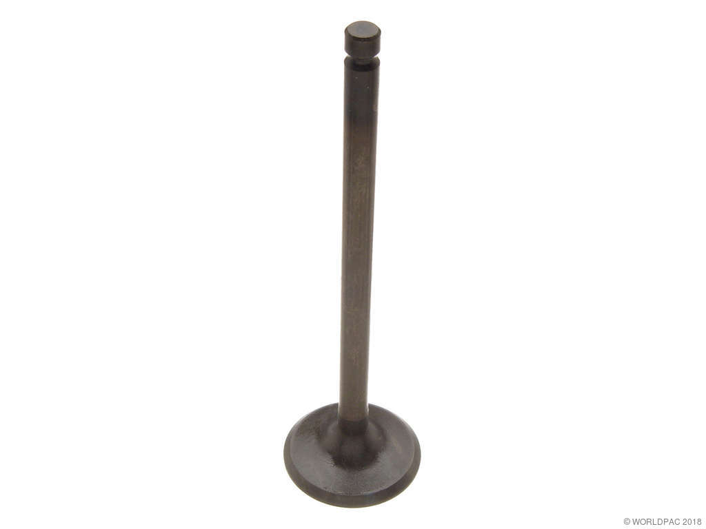 1990-1994 Nissan D21 Engine Intake Valve (Dokuro)