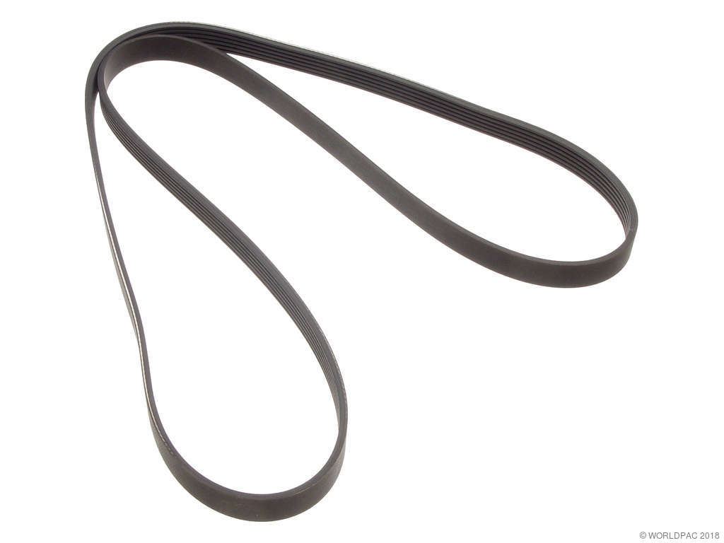 1996-1998 BMW Z3 Accessory Drive Belt - Primary (ContiTech)