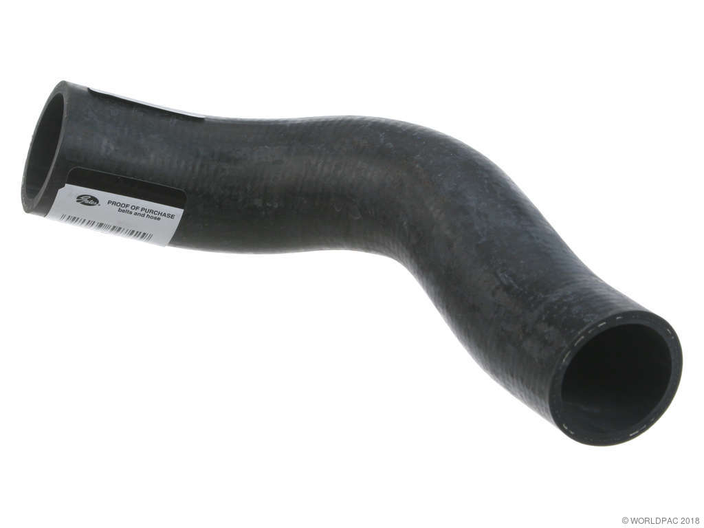 1999-2005 Subaru Forester Radiator Coolant Hose - Lower (Gates)