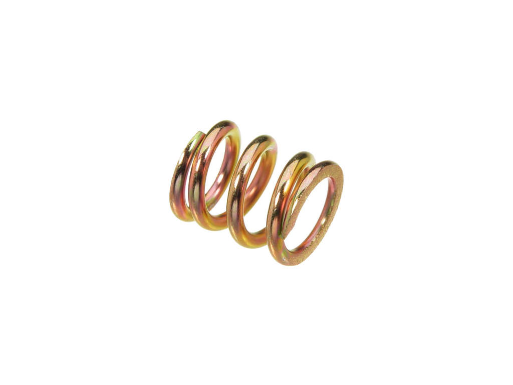 1996-1999 Isuzu Oasis Exhaust Bolt and Spring (BRExhaust)