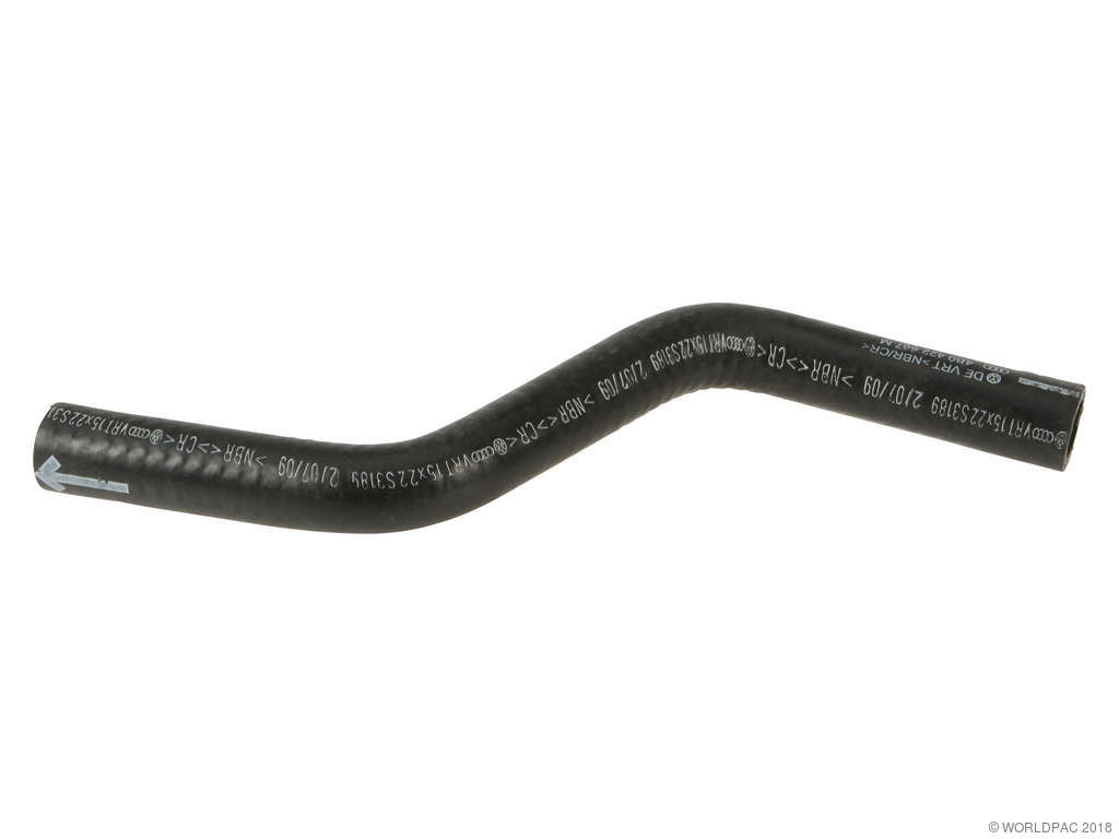 2002-2004 Audi A6 Power Steering Reservoir Hose - Reservoir To Pipe (Genuine)