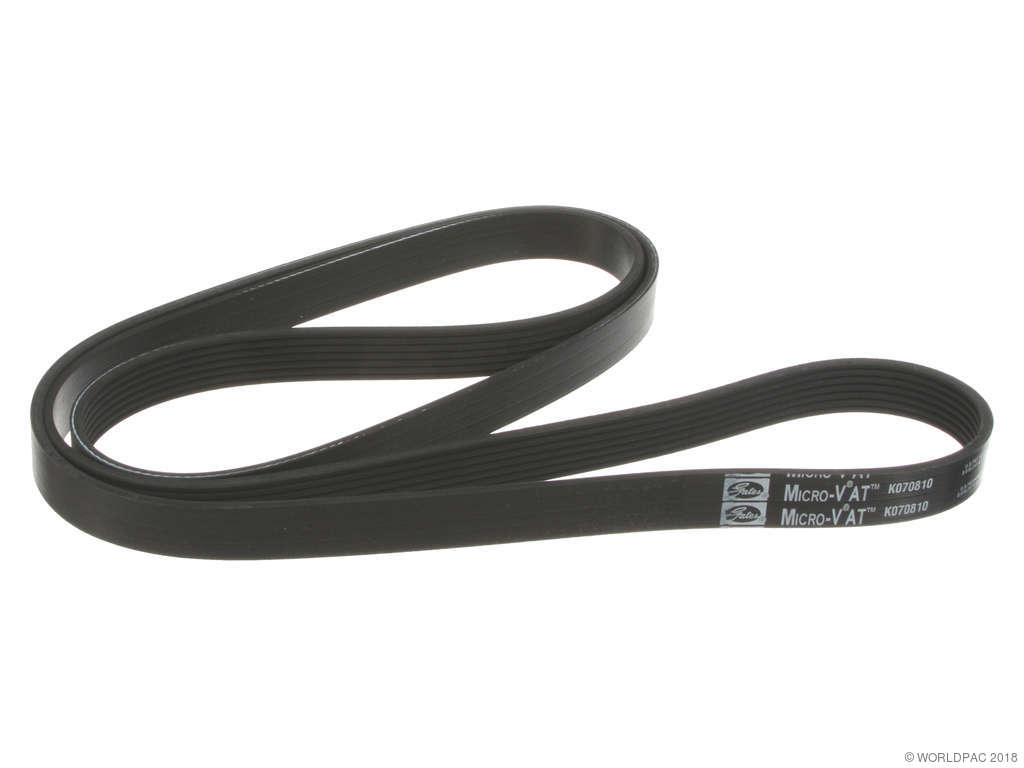 2008-2012 INFINITI EX35 Accessory Drive Belt - Primary (Gates)
