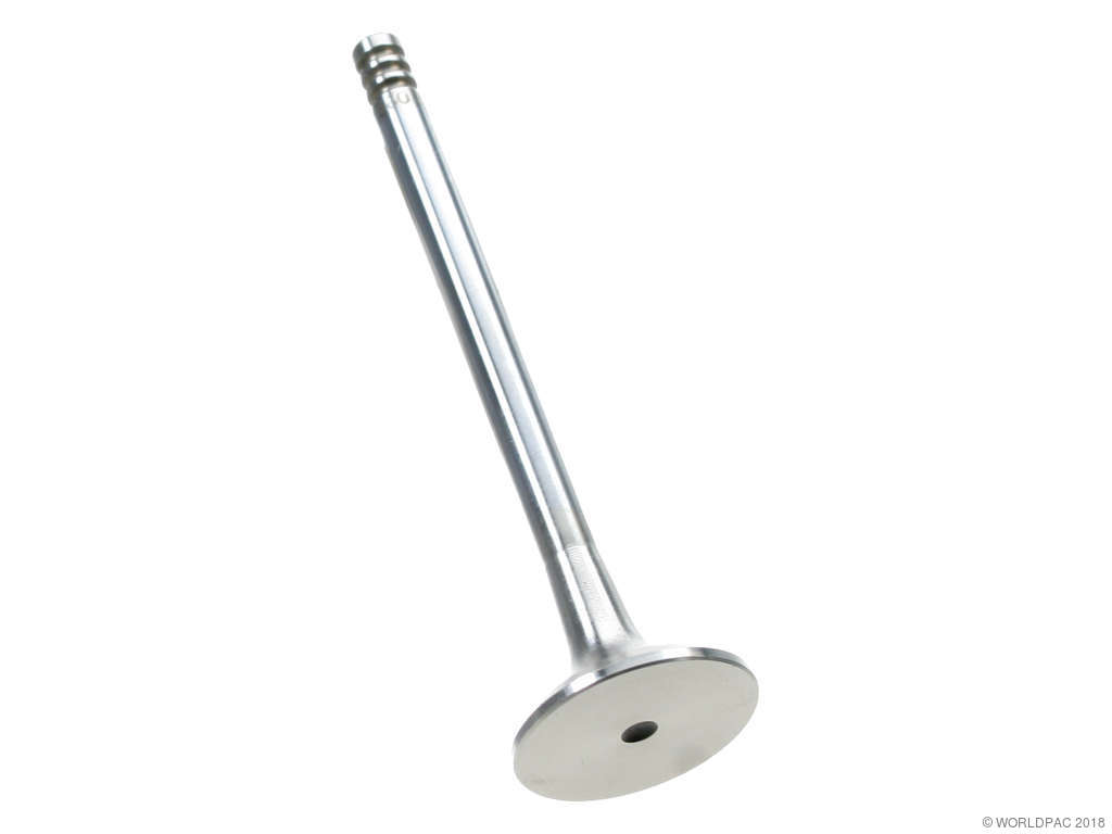 1991-1992 BMW 525i Engine Exhaust Valve (TRW)