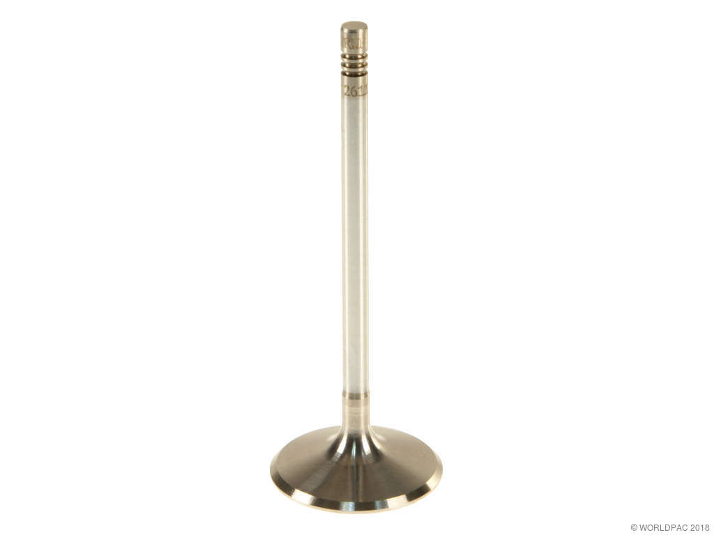 2006-2011 Mercedes-Benz ML350 Engine Intake Valve (TRW)