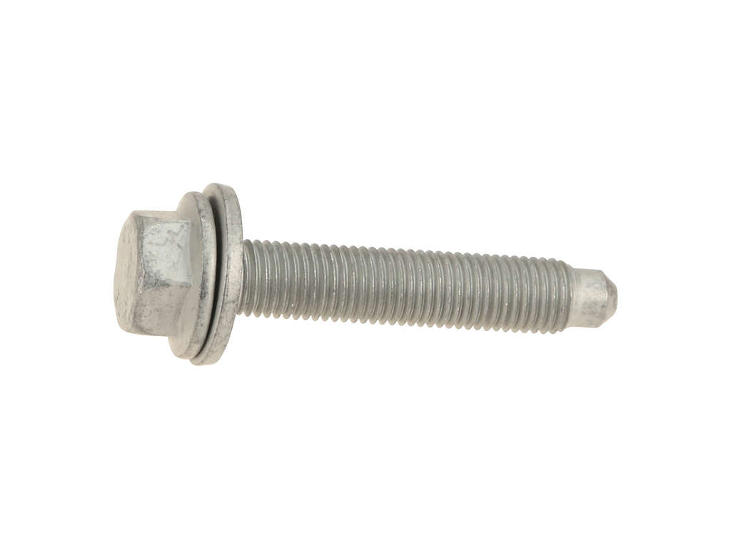 2004-2005 BMW 545i Screw (Genuine)