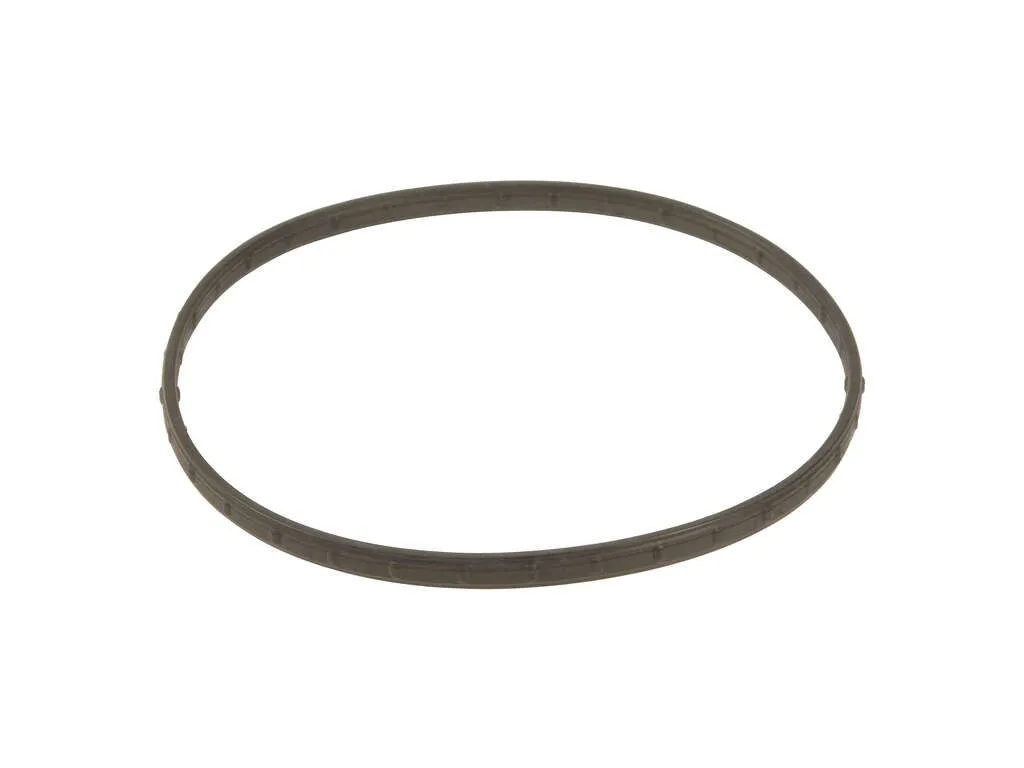 2008-2010 Ford F-350 Super Duty Engine Water Pump Gasket (Mahle)