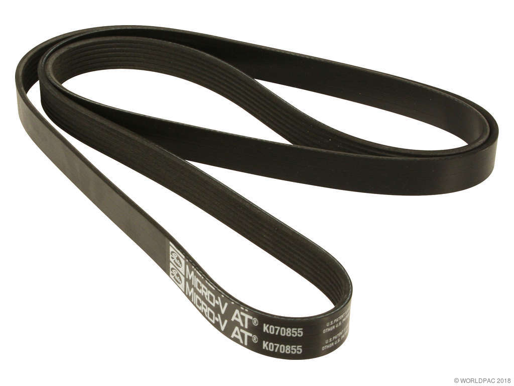 1991-1992 Lincoln Town Car Accessory Drive Belt (Gates)