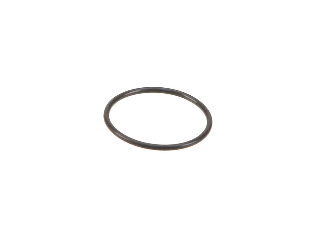 2010-2019 Ford Flex Fuel Pump Gasket (Genuine)