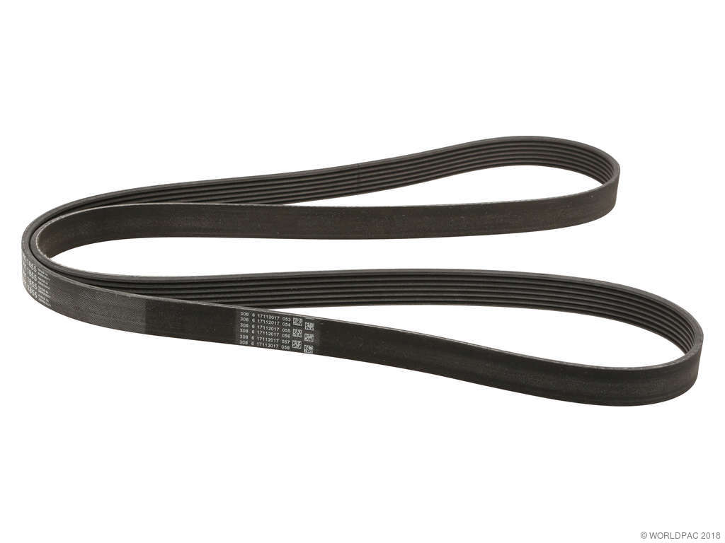 2007-2010 BMW 335i Accessory Drive Belt (ContiTech)
