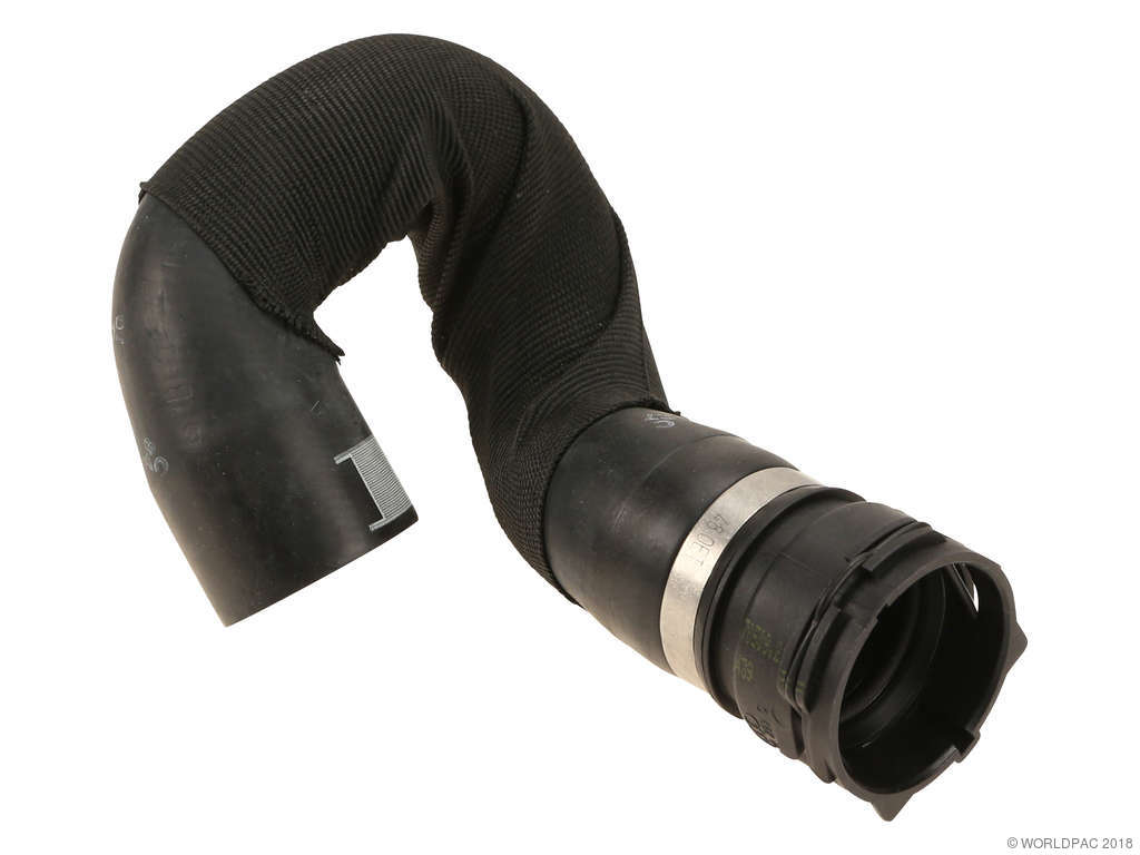 2008-2012 Audi S5 Radiator Coolant Hose - Lower (Genuine)