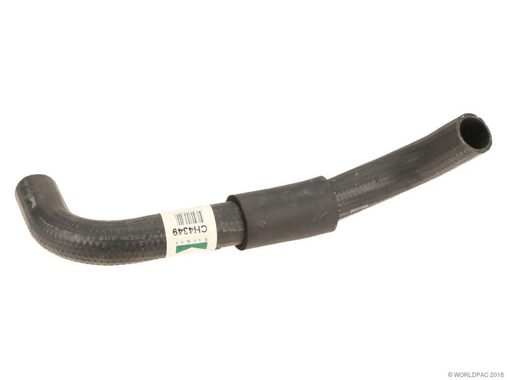 1998-2002 Mazda 626 Radiator Coolant Hose - Lower (MacKay)