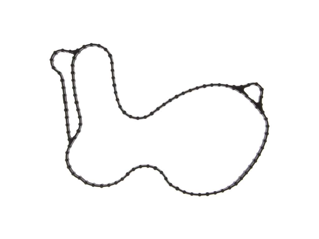 2012-2018 Lincoln MKX Engine Water Pump Gasket -  or Pump To Block (Mahle)