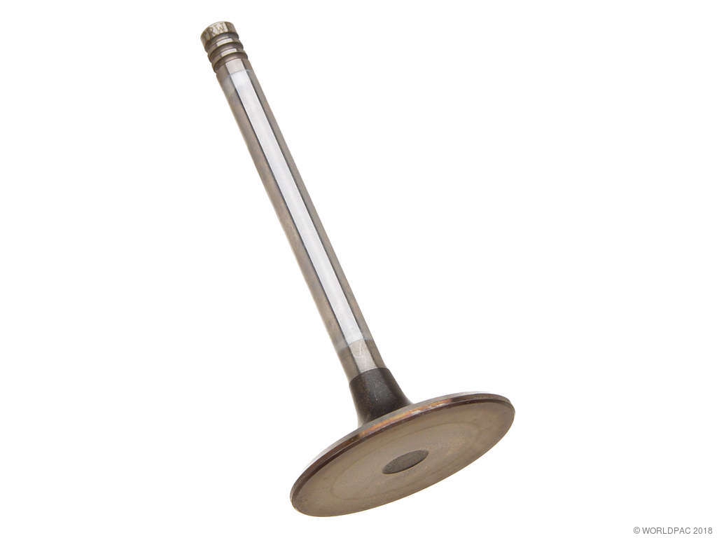 1977-1983 BMW 320i Engine Intake Valve (TRW)
