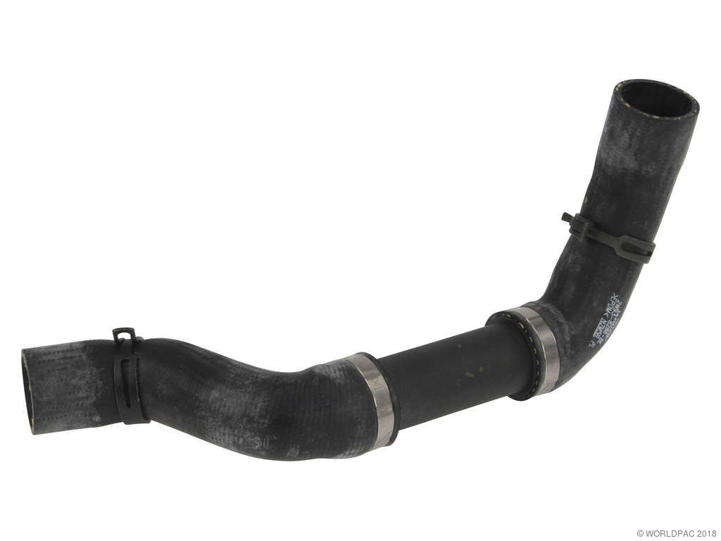2004-2005 Jaguar XJR Radiator Coolant Hose - Lower (Genuine)