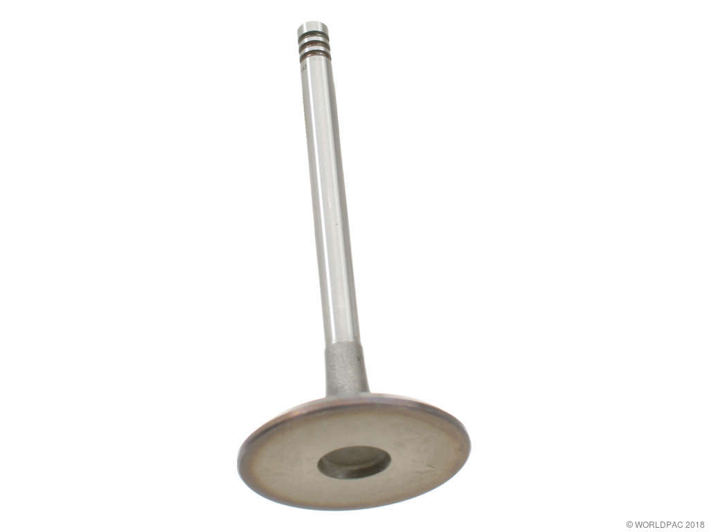 1989-1990 BMW 525i Engine Intake Valve (AE)