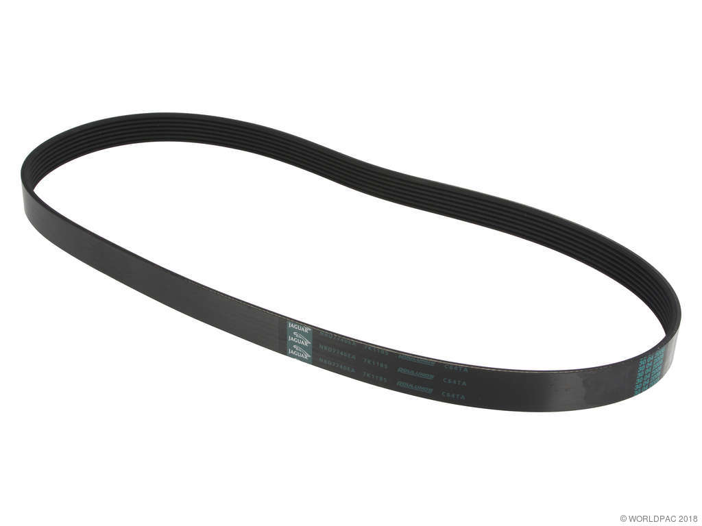 1995-1997 Jaguar XJR Accessory Drive Belt - Supercharger (Genuine)