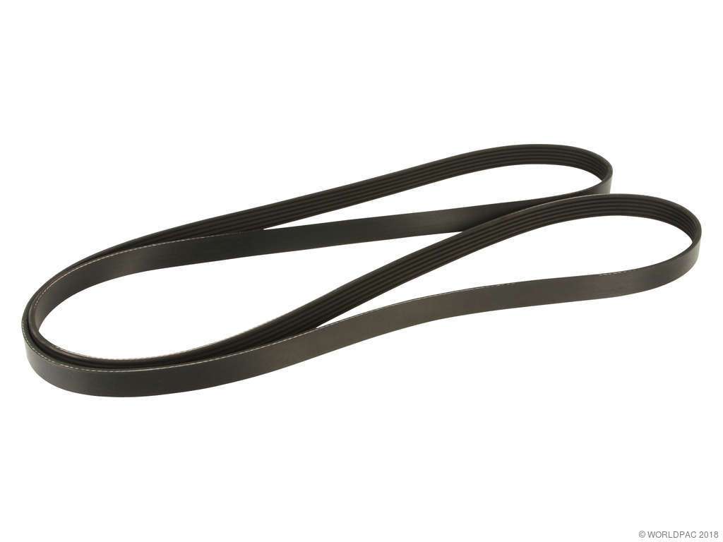 1989-1992 Pontiac Firebird Accessory Drive Belt (Dayco)