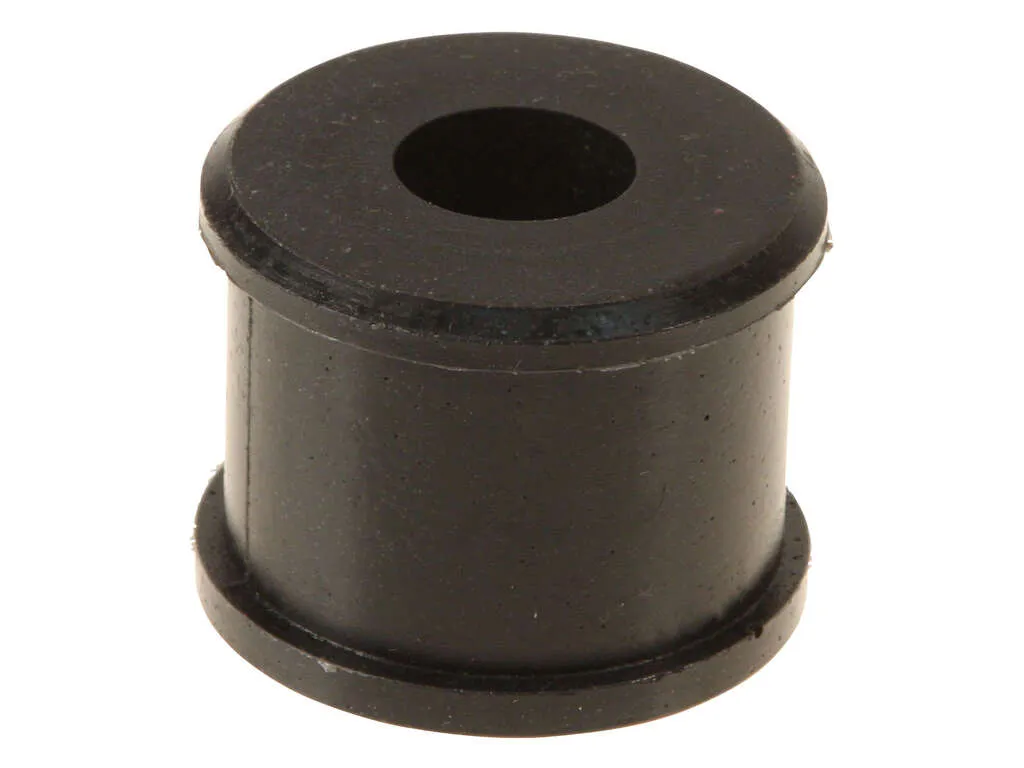 2000-2006 Nissan Sentra Suspension Control Arm Bushing - Front Lower Inner Rearward (AST)