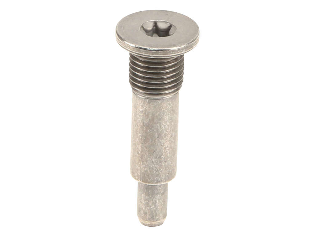 2007-2015 Mini Cooper Engine Timing Chain Guide Bolt (Original Equipment)