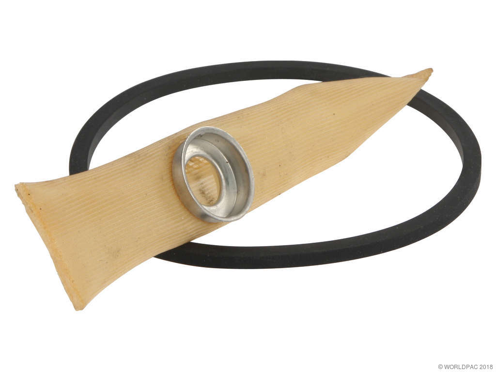 1996-2002 Chevrolet Express 2500 Fuel Pump Strainer (Spectra Premium)