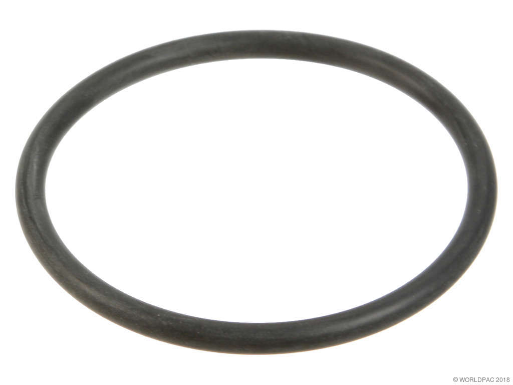 2004-2006 BMW X3 Engine Water Pump Gasket (Victor Reinz)