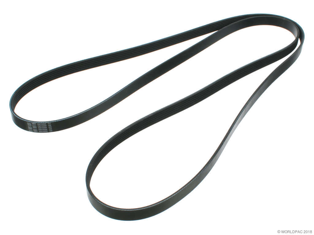 2007-2008 Lincoln Navigator Accessory Drive Belt (Gates)