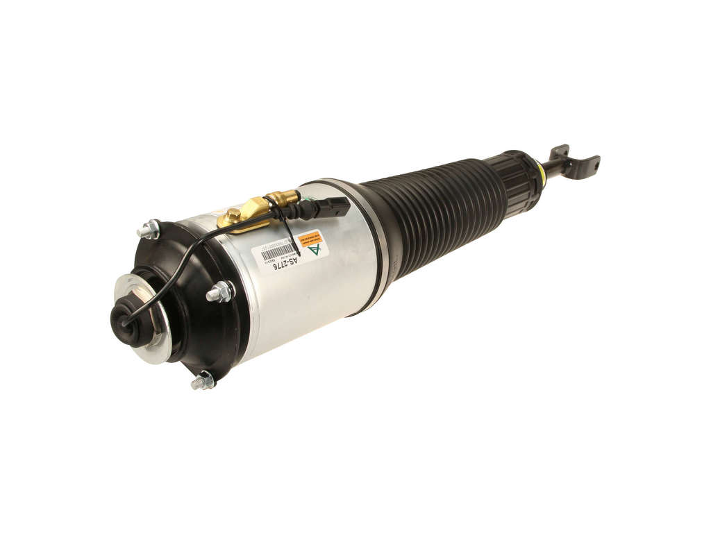 2007-2009 Audi S8 Air Suspension Strut - Front Left (Arnott)