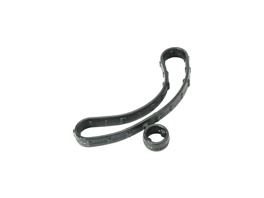 2014-2021 GMC Sierra 1500 Valley Pan Gasket (ACDelco)