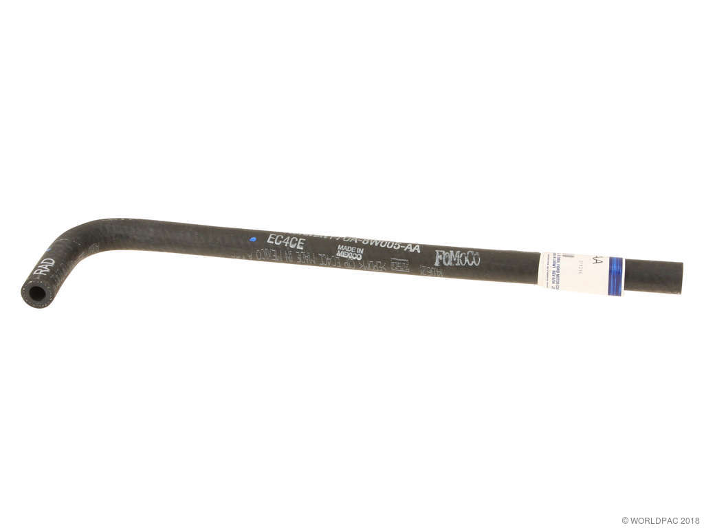 2003-2005 Ford E-250 Engine Coolant Reservoir Hose (Genuine)