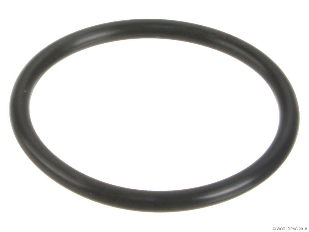 1996-1998 BMW Z3 Engine Water Pump Gasket (Victor Reinz)
