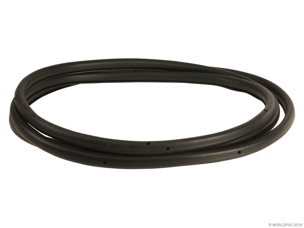 1997-2000 BMW 528i Door Seal - Front (APA/URO Parts)
