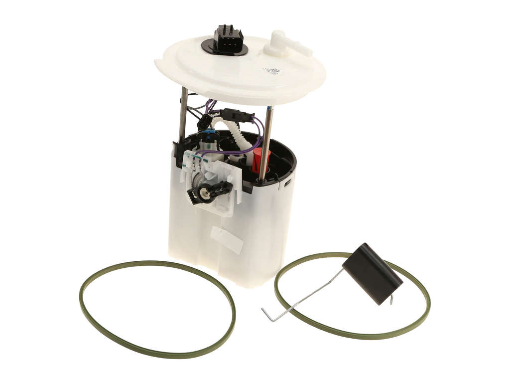 2004-2006 Chrysler Pacifica Fuel Pump Module Assembly - Primary Left (Delphi)