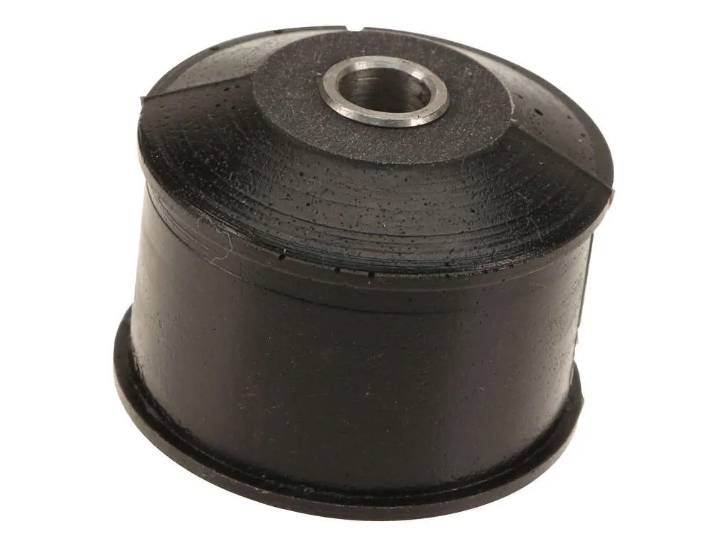 2008-2013 Nissan Rogue Suspension Trailing Arm Bushing - Rear Forward (AST)