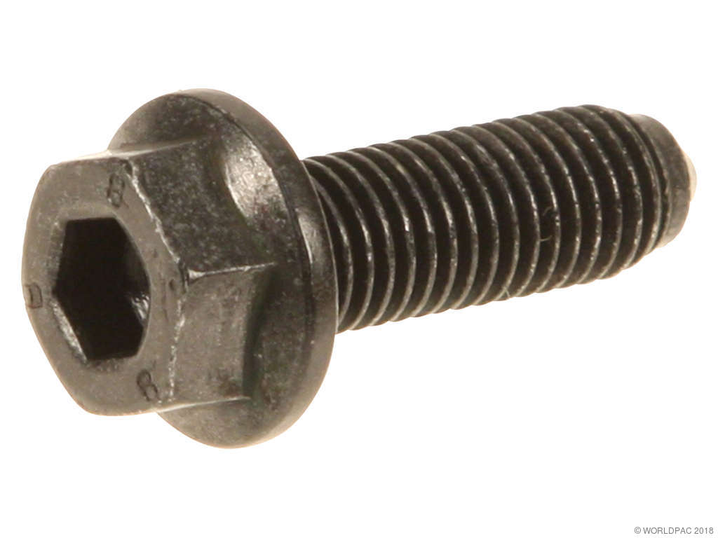 2005-2009 Audi A4 Engine Water Pump Bolt (Genuine)