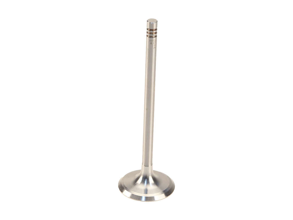 1997-2000 BMW 528i Engine Intake Valve (TRW)