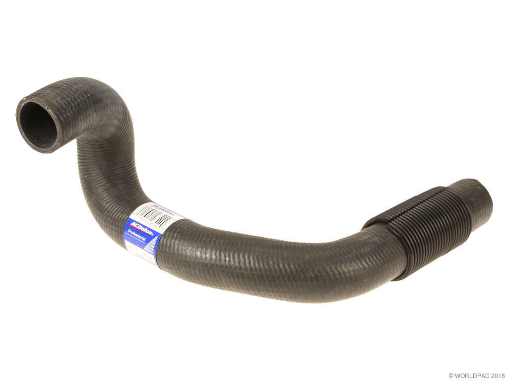 1986-1991 Buick Century Radiator Coolant Hose - Lower (ACDelco)