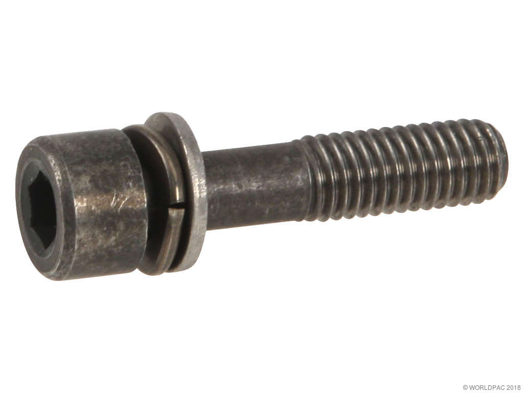 1998-2001 Nissan Altima Engine Timing Chain Guide Bolt (Genuine)