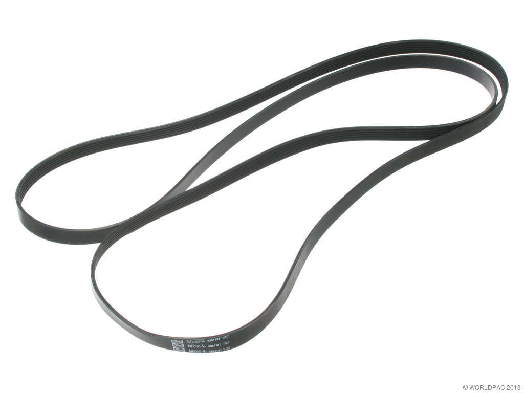 2006-2010 Chevrolet Express 3500 Accessory Drive Belt - Primary (Gates)