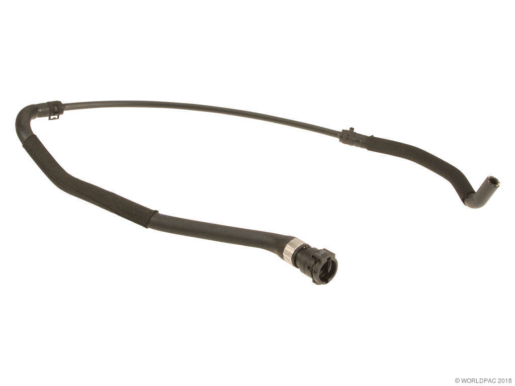 2011-2013 BMW 335i xDrive Engine Coolant Overflow Hose (Genuine)