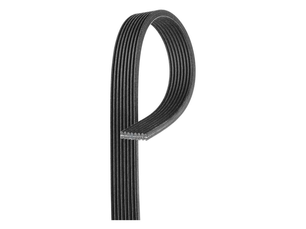 2017-2022 Jaguar F-Pace Accessory Drive Belt - Supercharger (Gates)