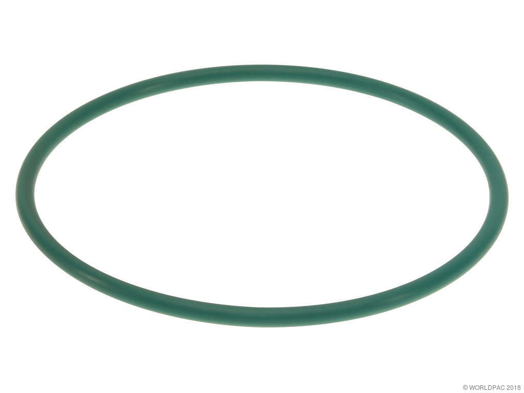 2020-2022 Kia Telluride Fuel Pump O-Ring (Genuine)