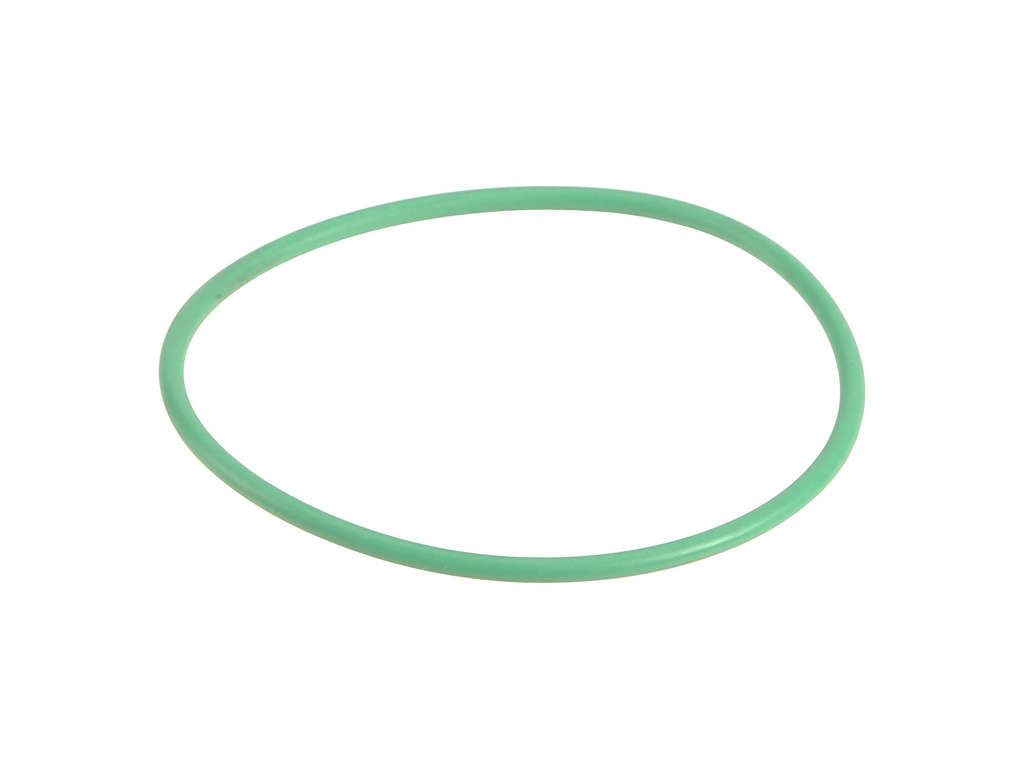 2011-2012 Mini Cooper Fuel Pump Seal (Victor Reinz)
