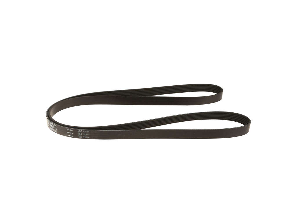 2015-2020 Chevrolet Suburban Accessory Drive Belt - Alternator and Water Pump (Gates)